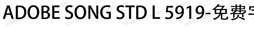 ADOBE SONG STD L 5919字体转换